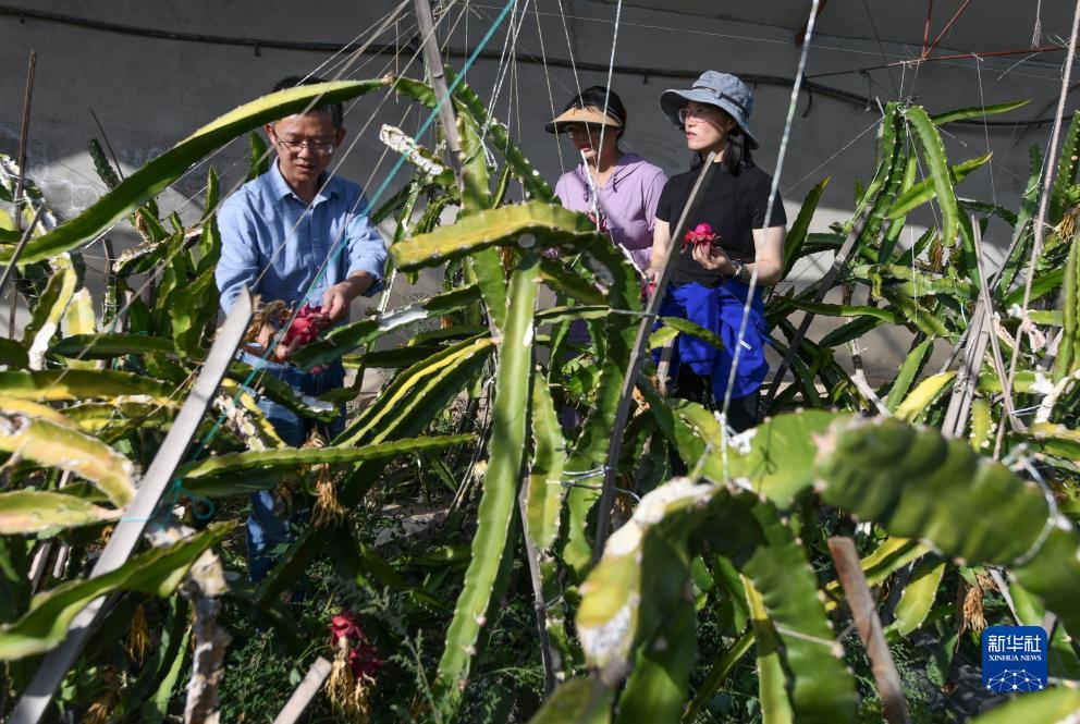捕鱼大玩咖怎样释放角色技能